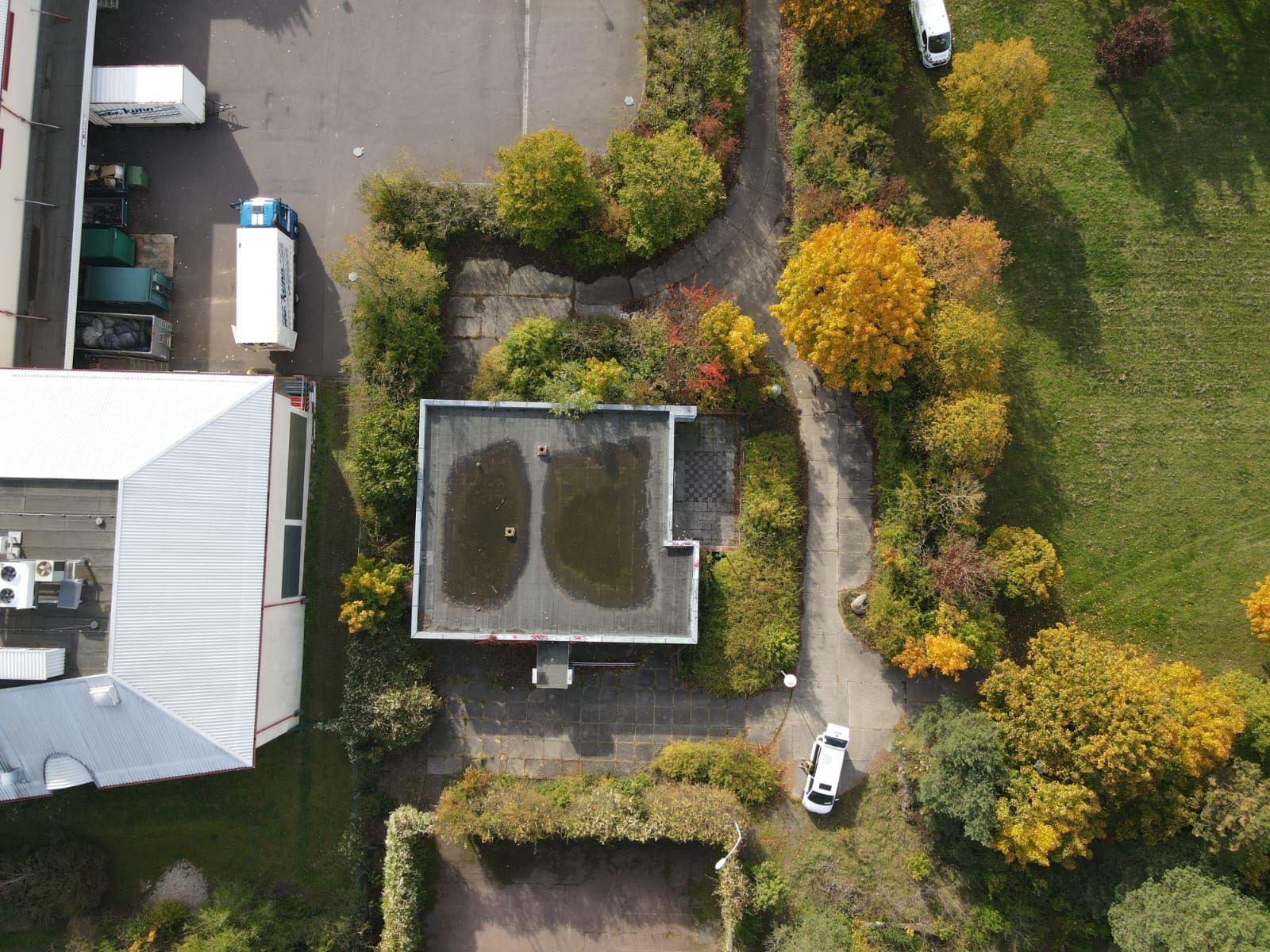 WhatsApp Image 2025-11-11 at 1.44.06 PM.jpeg